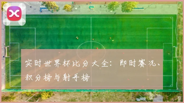 实时世界杯比分大全：即时赛况、积分榜与射手榜